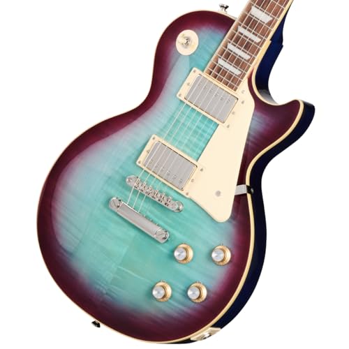 エレキギター エピフォン les paul standard」の人気商品一覧
